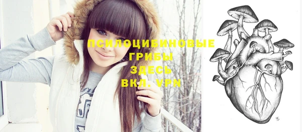 apvp Нея
