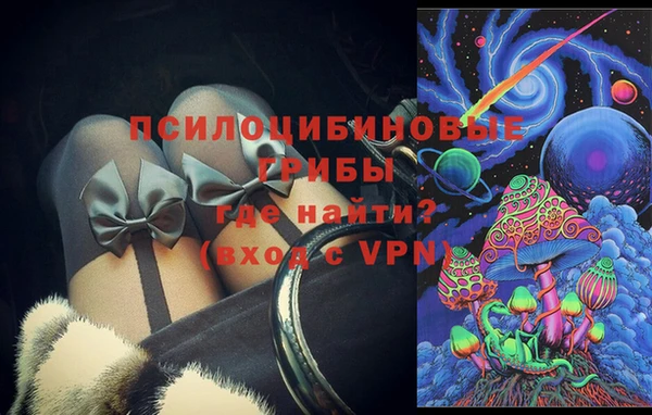 apvp Нея