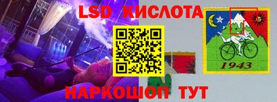 дмт Сланцы