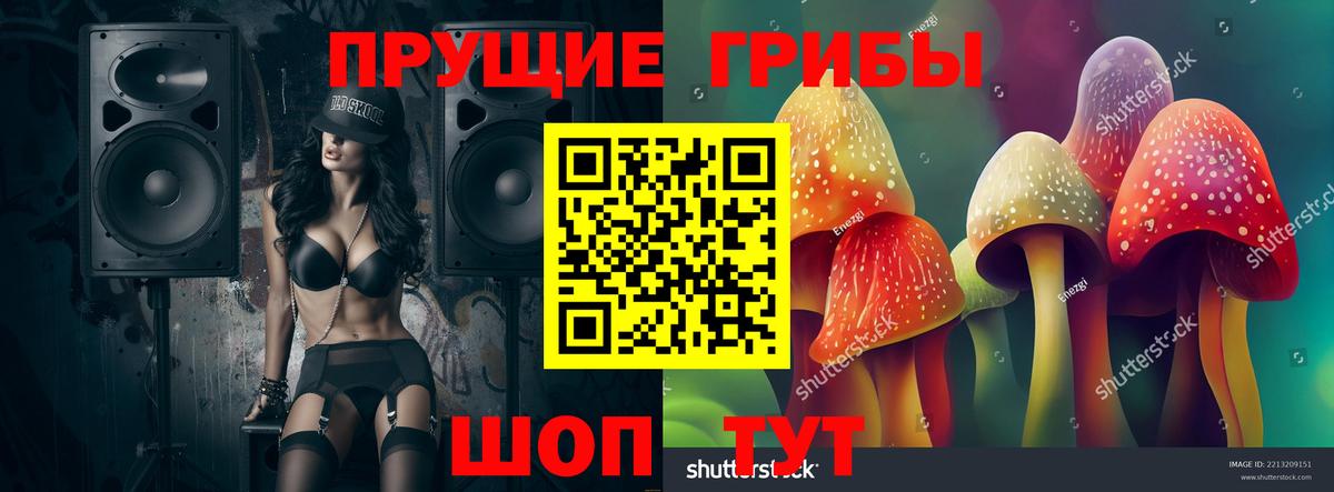 Орск  Псилоцибиновые грибы MAGIC MUSHROOMS  Вход с VPN 